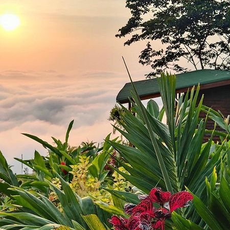 Minca Sintropia - Sustainable Lodge & Organic Coffee Finca Экстерьер фото