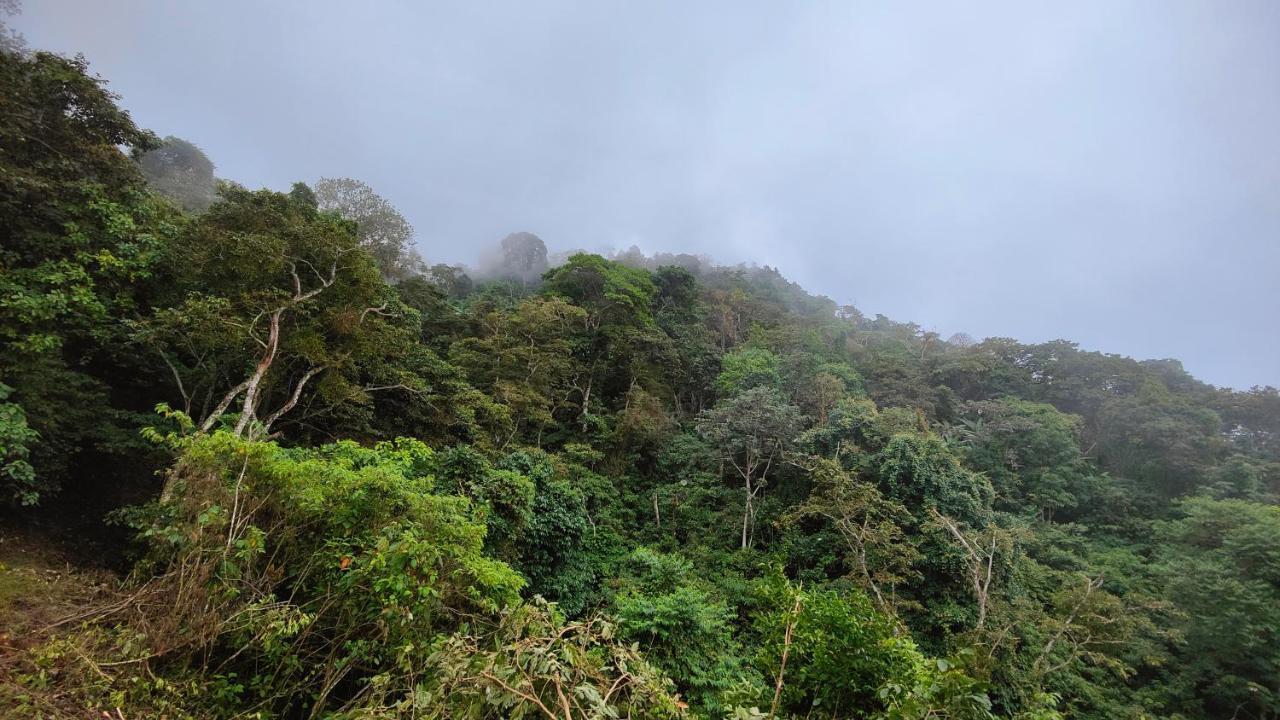 Minca Sintropia - Sustainable Lodge & Organic Coffee Finca Экстерьер фото