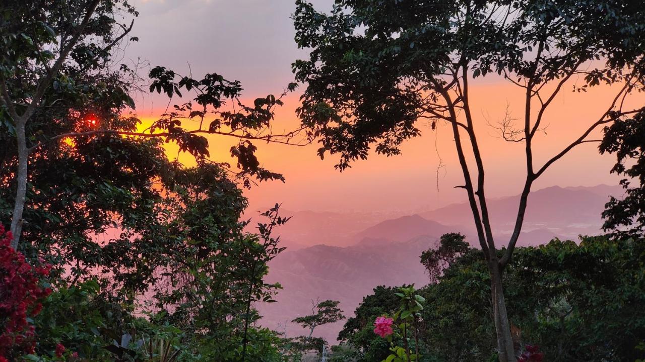 Minca Sintropia - Sustainable Lodge & Organic Coffee Finca Экстерьер фото