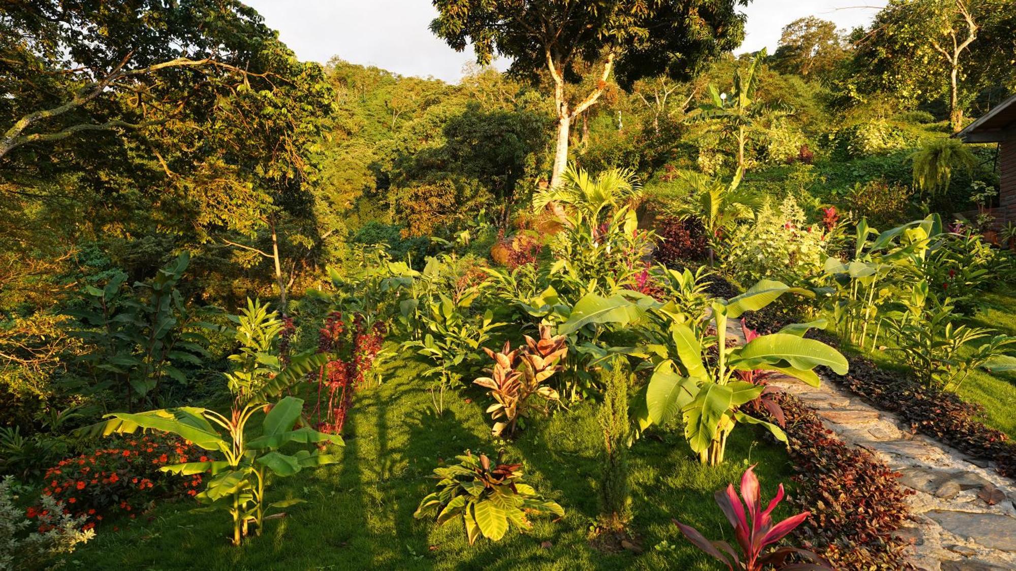 Minca Sintropia - Sustainable Lodge & Organic Coffee Finca Экстерьер фото