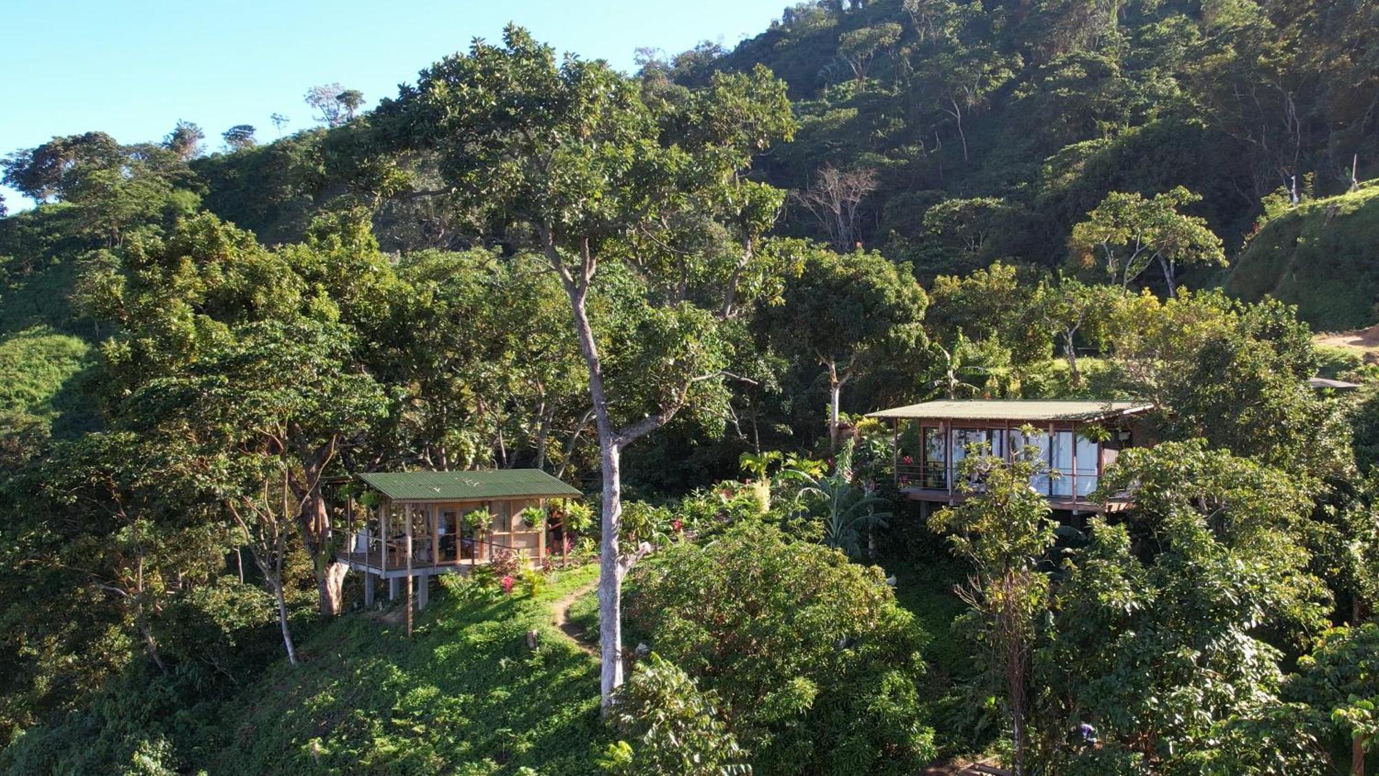 Minca Sintropia - Sustainable Lodge & Organic Coffee Finca Экстерьер фото