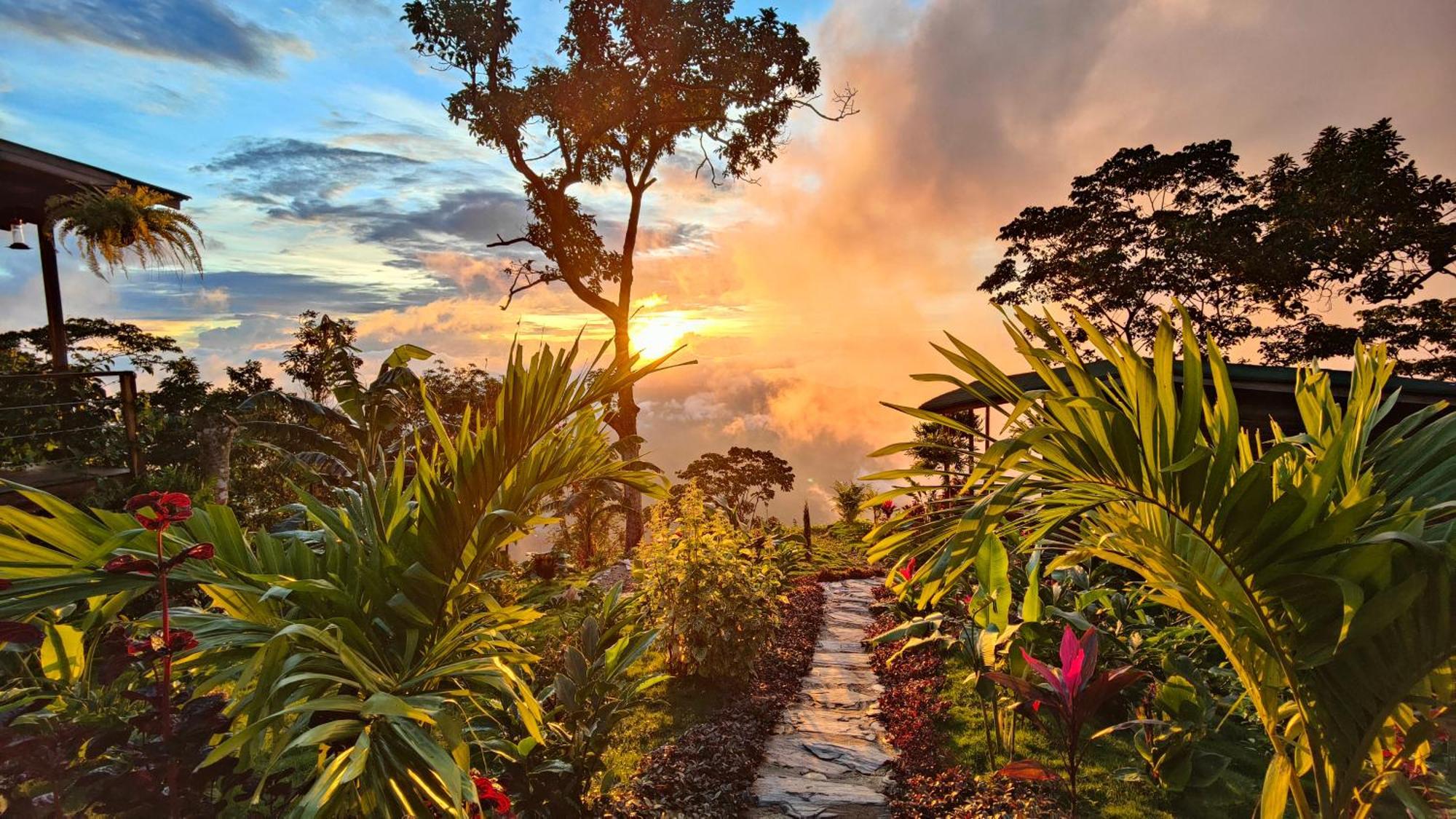 Minca Sintropia - Sustainable Lodge & Organic Coffee Finca Экстерьер фото