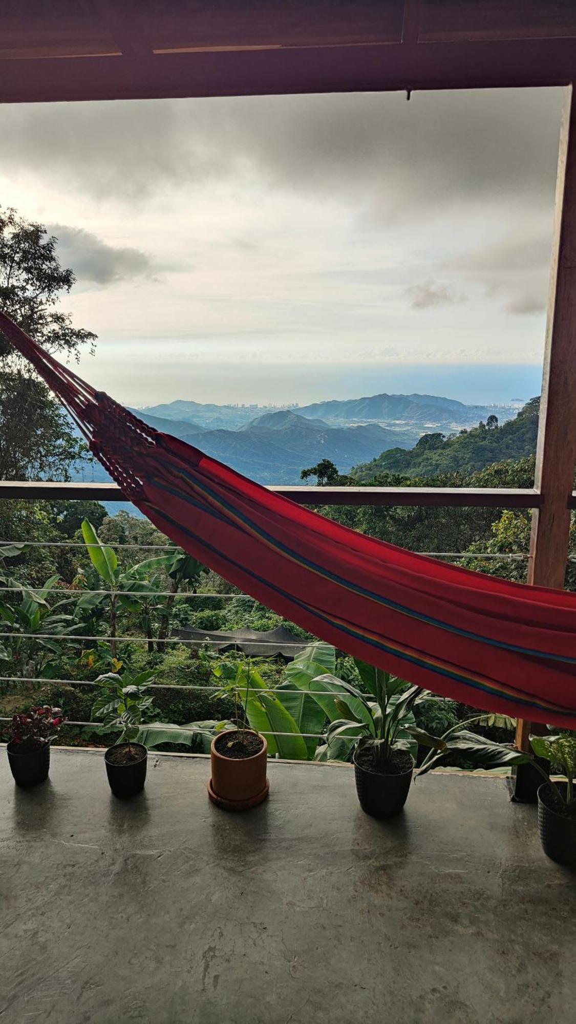 Minca Sintropia - Sustainable Lodge & Organic Coffee Finca Номер фото