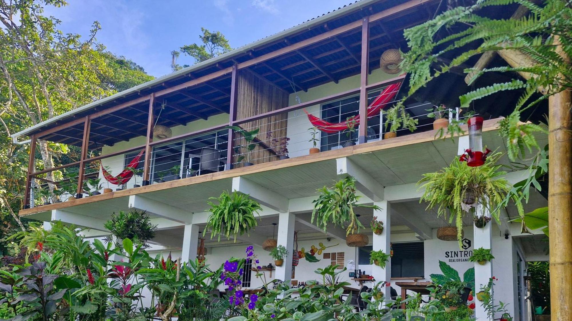Minca Sintropia - Sustainable Lodge & Organic Coffee Finca Номер фото