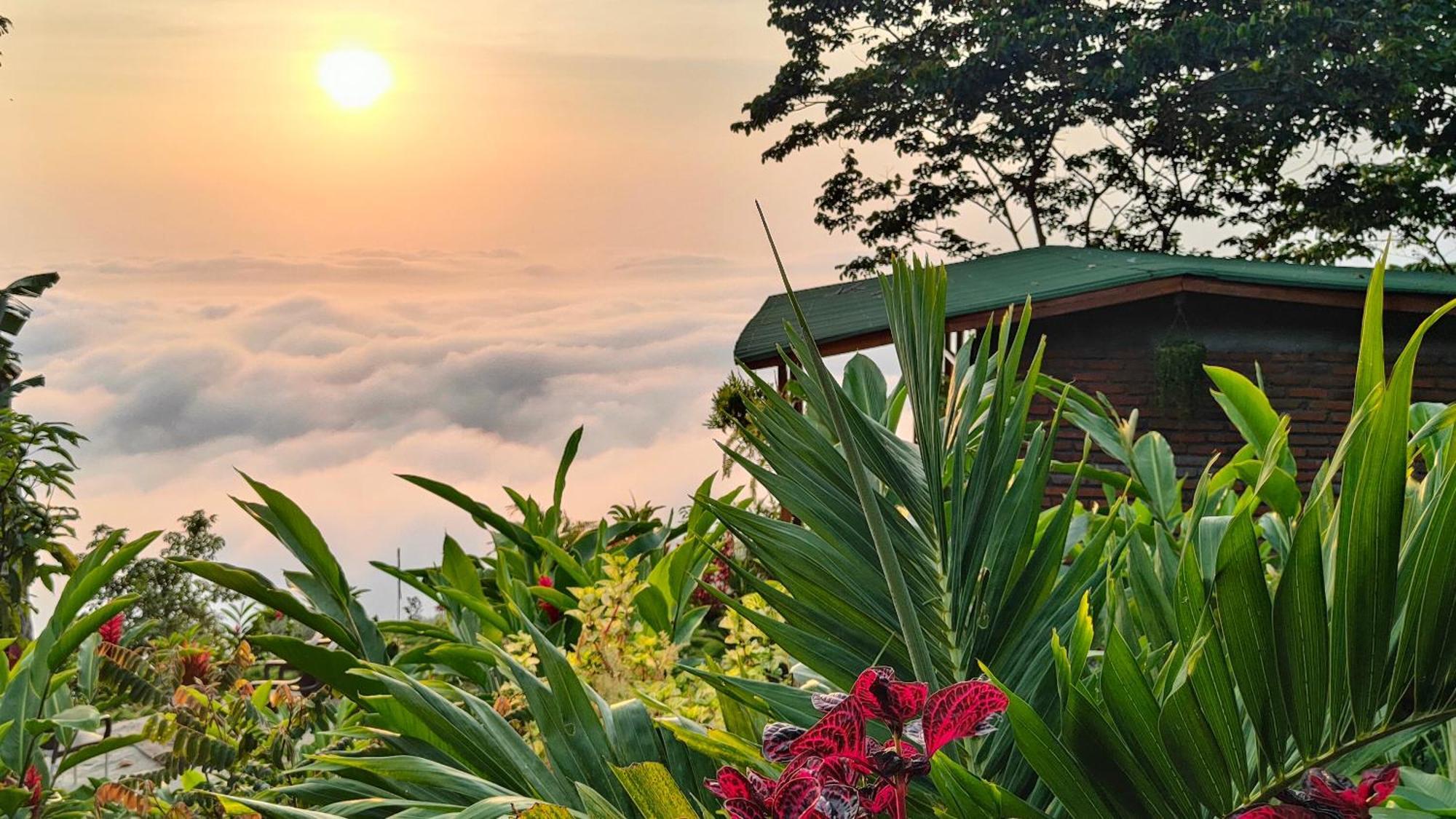 Minca Sintropia - Sustainable Lodge & Organic Coffee Finca Экстерьер фото