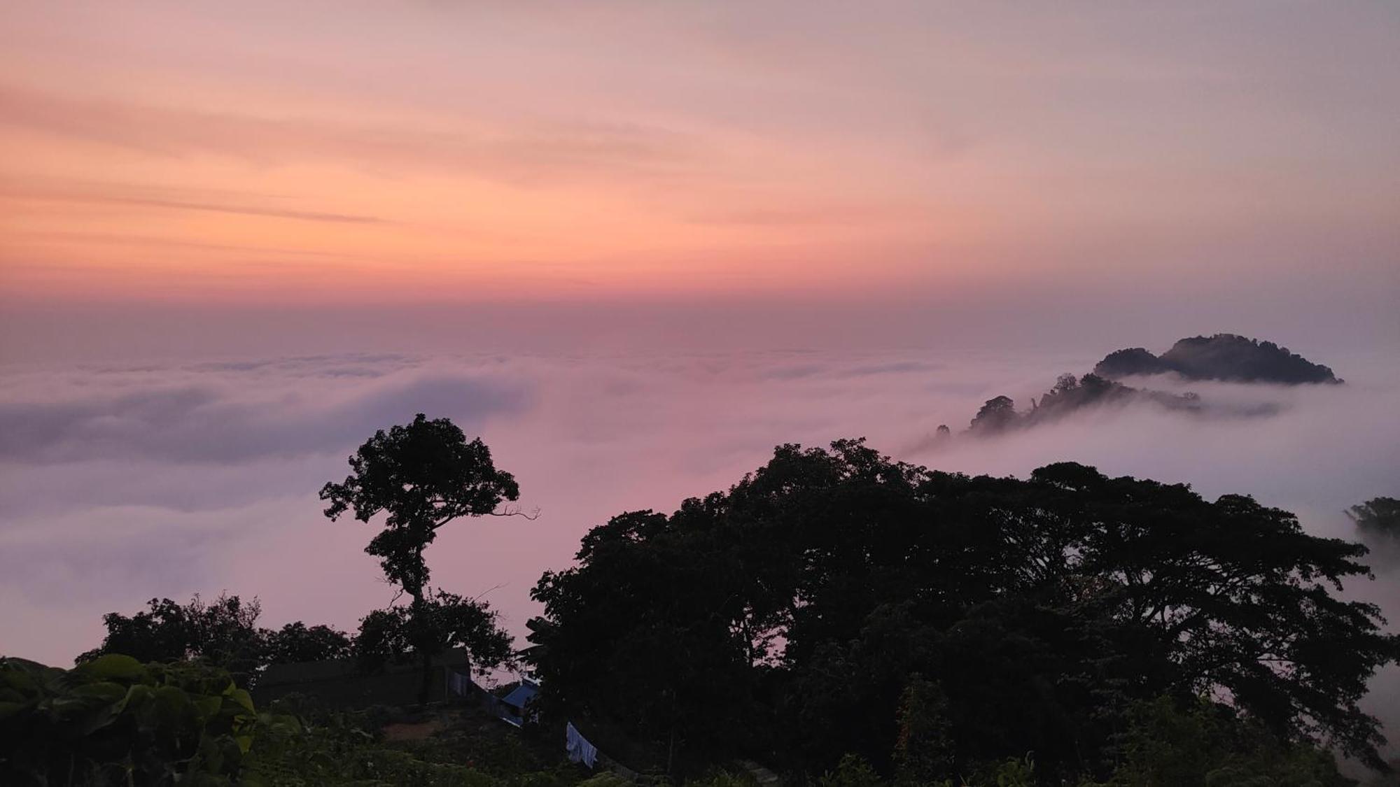 Minca Sintropia - Sustainable Lodge & Organic Coffee Finca Экстерьер фото